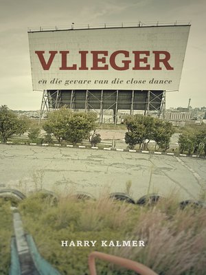 cover image of Vlieger